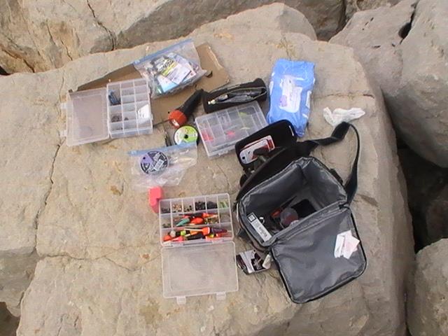 pestisoriii de aur - pic5856.JPG